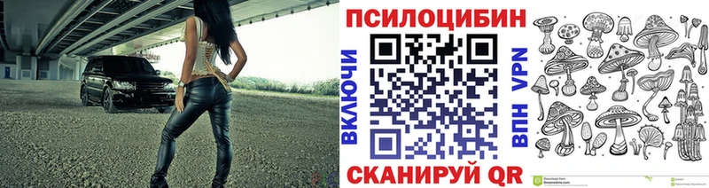 маркетплейс Telegram  Когалым  Галлюциногенные грибы Cubensis 